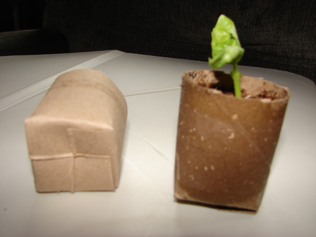 Make biodegradable mini planters alifesosimple